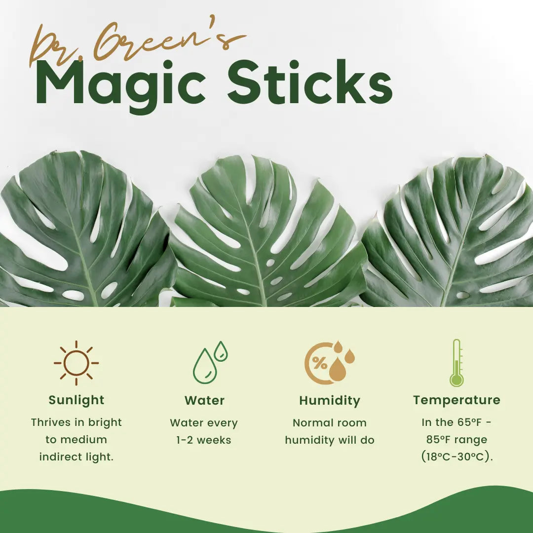 Dr. Green&