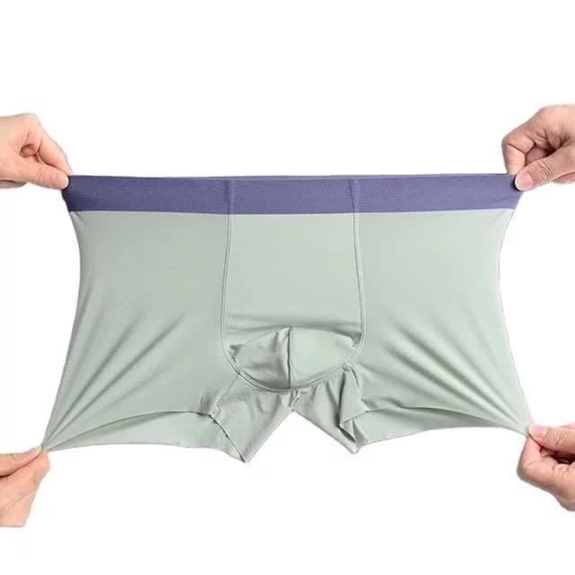 Men's Ice Silk Briefs Boxers | 🔥Pack of 5🔥