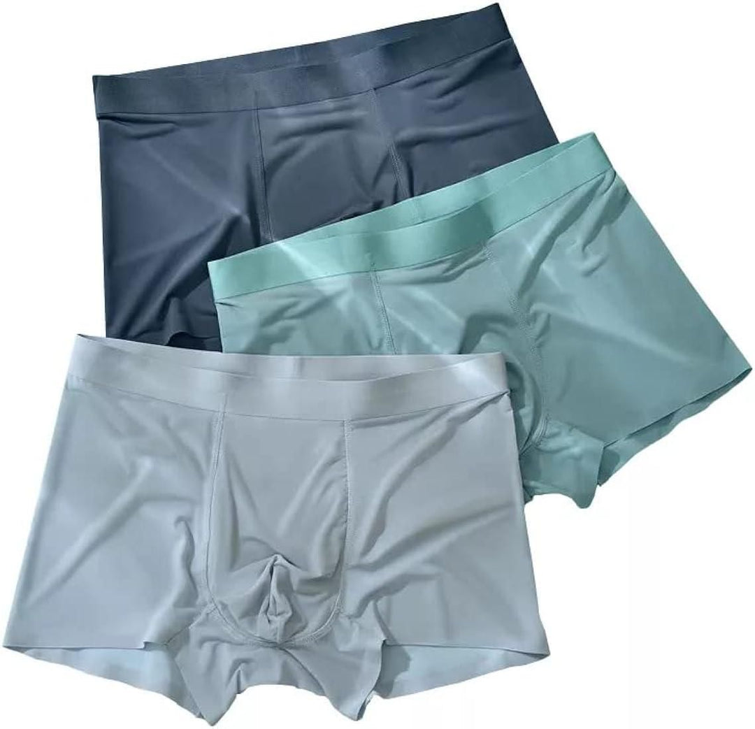 Men's Ice Silk Briefs Boxers | 🔥Pack of 5🔥