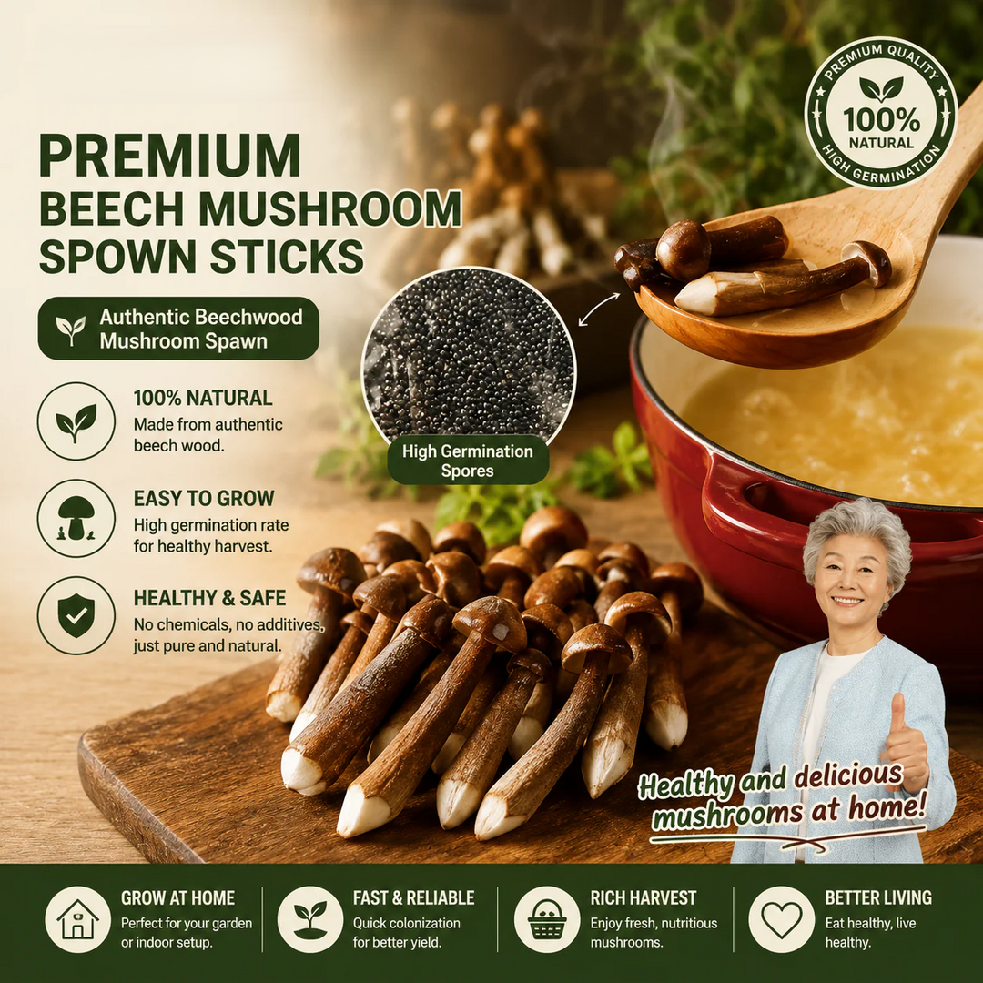 Premium Chicken Organic Mushroom Growing Kit | 🔥BUY 1 GET 1 FREE🔥