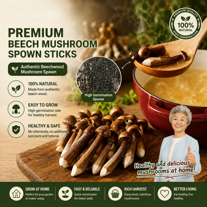 Premium Chicken Organic Mushroom Growing Kit | 🔥BUY 1 GET 1 FREE🔥