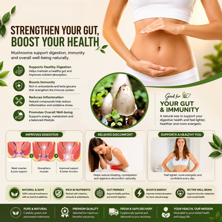 Premium Chicken Organic Mushroom Growing Kit | 🔥BUY 1 GET 1 FREE🔥