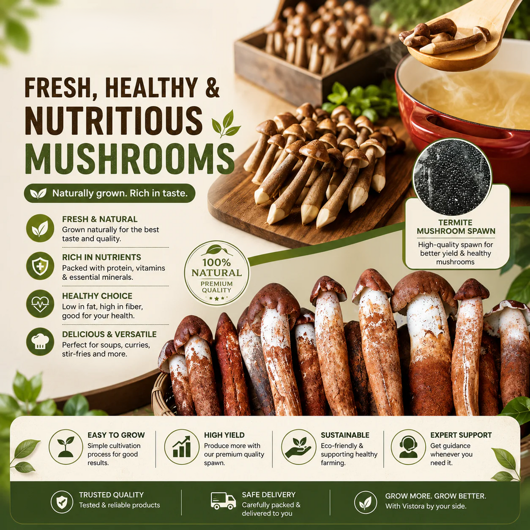 Premium Chicken Organic Mushroom Growing Kit | 🔥BUY 1 GET 1 FREE🔥