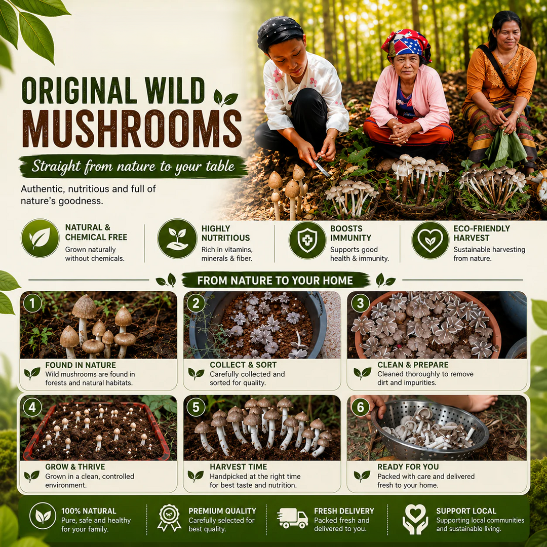 Premium Chicken Organic Mushroom Growing Kit | 🔥BUY 1 GET 1 FREE🔥