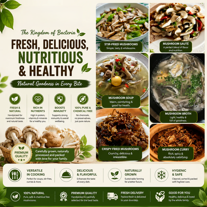 Premium Chicken Organic Mushroom Growing Kit | 🔥BUY 1 GET 1 FREE🔥