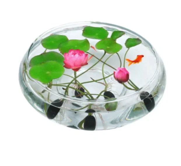 Hybrid Japanese Bonsai Lotus Seeds | 🔥FLAT 50% OFF SALE🔥