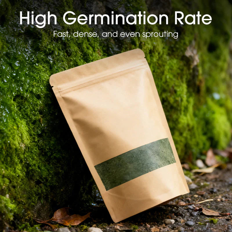 Premium-Grade Moss Spore Powder |🔥BUY 1 GET 1 FREE🔥