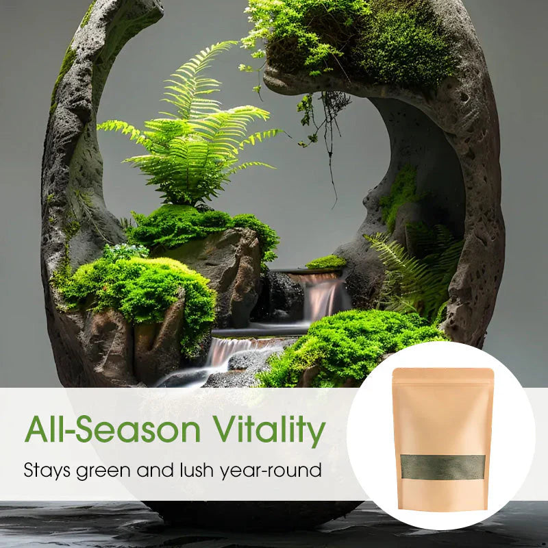 Premium-Grade Moss Spore Powder |🔥BUY 1 GET 1 FREE🔥