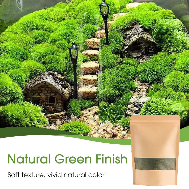 Premium-Grade Moss Spore Powder |🔥BUY 1 GET 1 FREE🔥